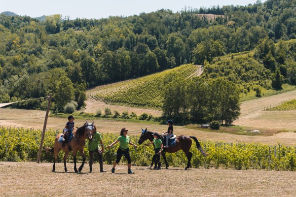 Bambini con i cavalli al campo estivo